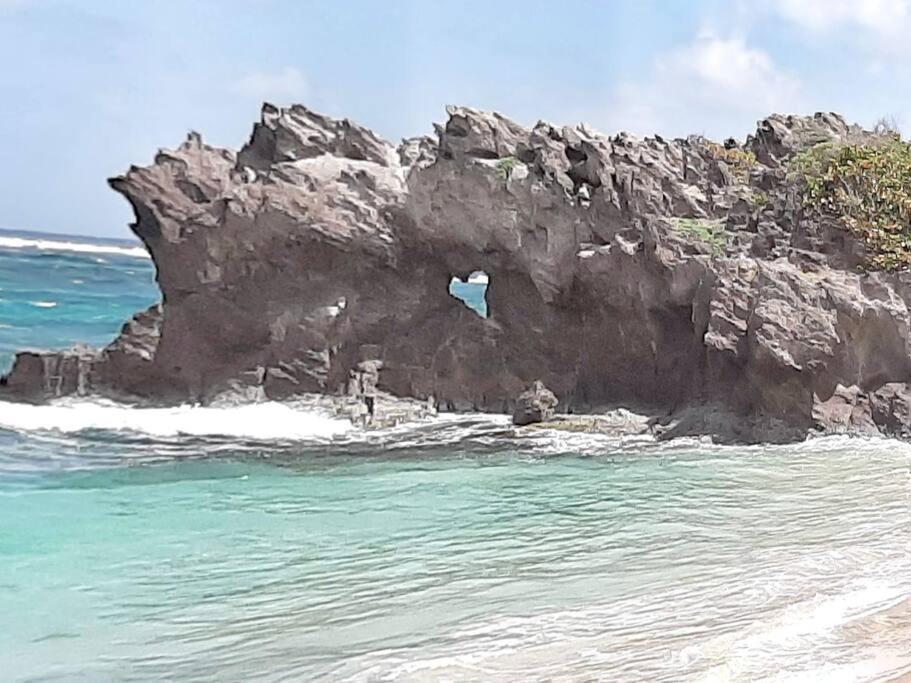 Superbe Studio, A 20 Metres De La Plage, Acces Direct Grande Plage Diamant Le Diamant Buitenkant foto
