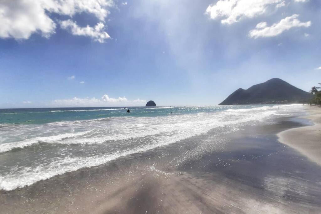 Superbe Studio, A 20 Metres De La Plage, Acces Direct Grande Plage Diamant Le Diamant Buitenkant foto